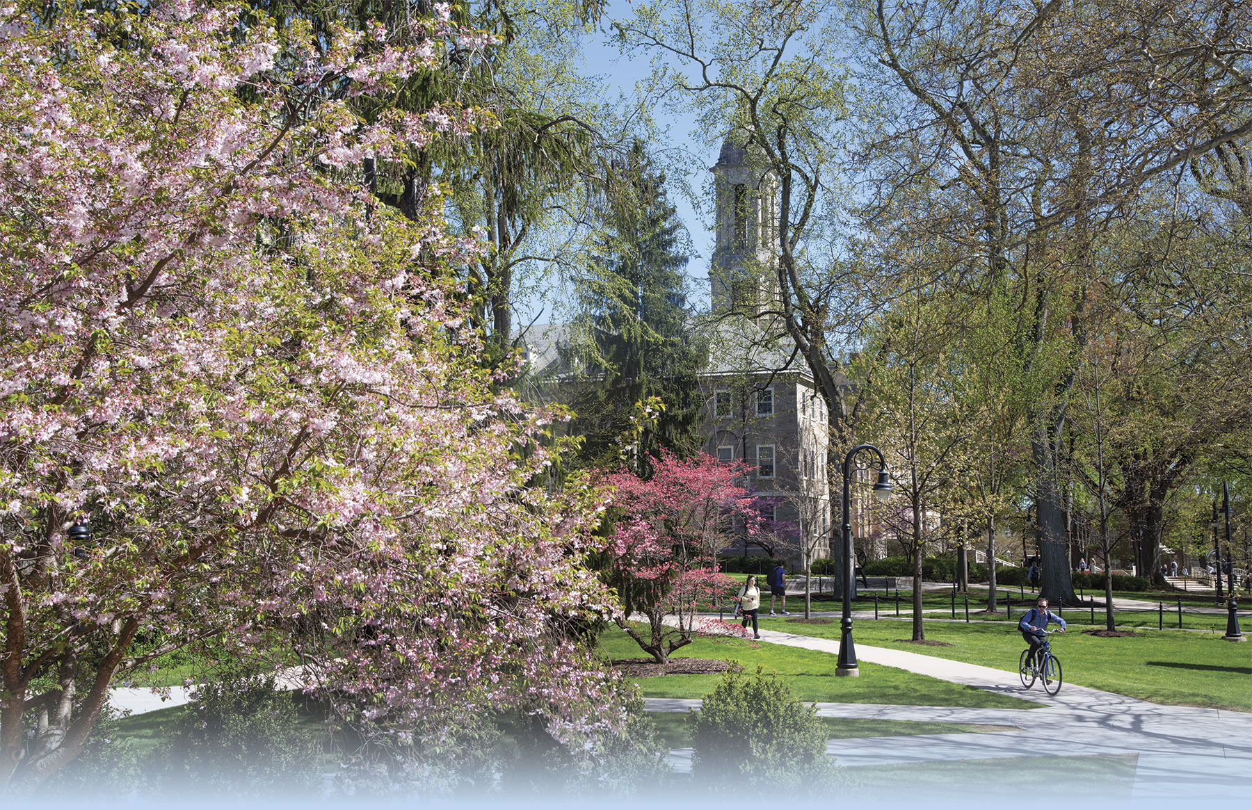 Old Main photographed on a spring day with blue skies and flowering trees.