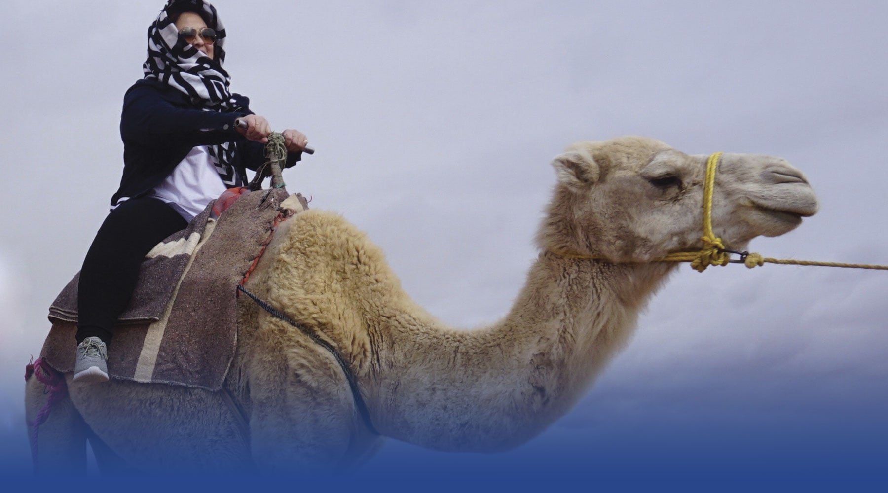 Alumna Carrie Xu enjoys a ride on a camel during a trip to Morocco in 2018.