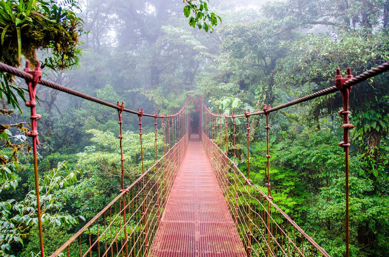 Costa Rica rope bridge