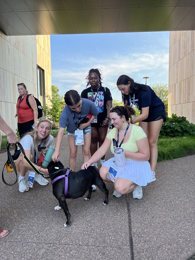 Campers greeting a dog