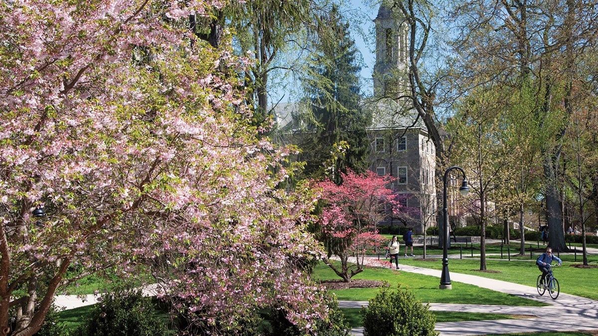 Flowers blooming on a blue sky day with Old Main in the background