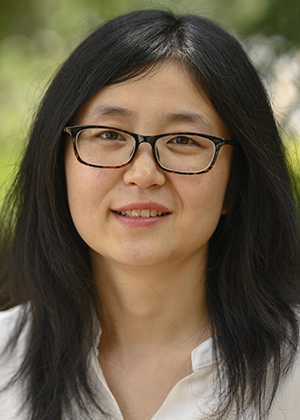 Jin Chen