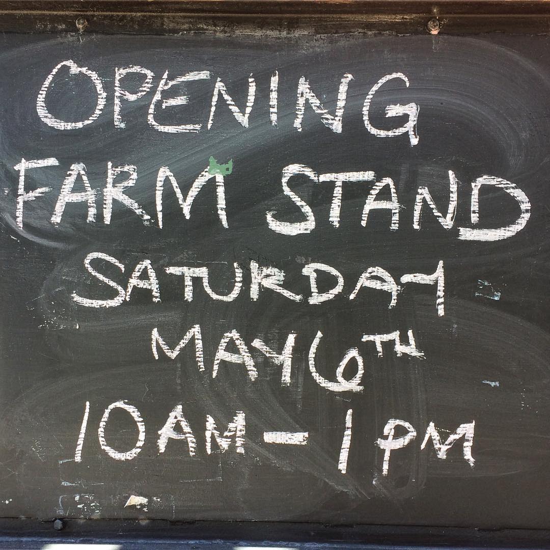 Community farm sign on a chalkboard reads, Opening Farm Stand, Saturday, May 6th, 10am-1pm.