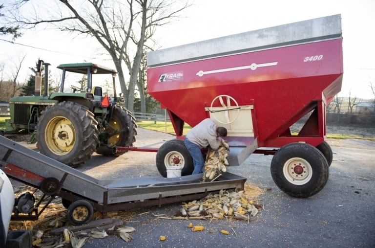 Zack pulling corn out of a red trailer for transferring into a silo.