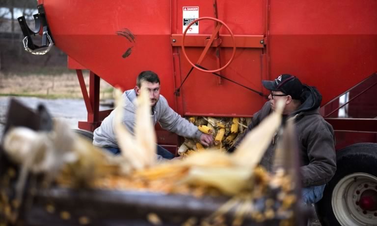 Zach and Steve Meyer empty corn from a red bin.