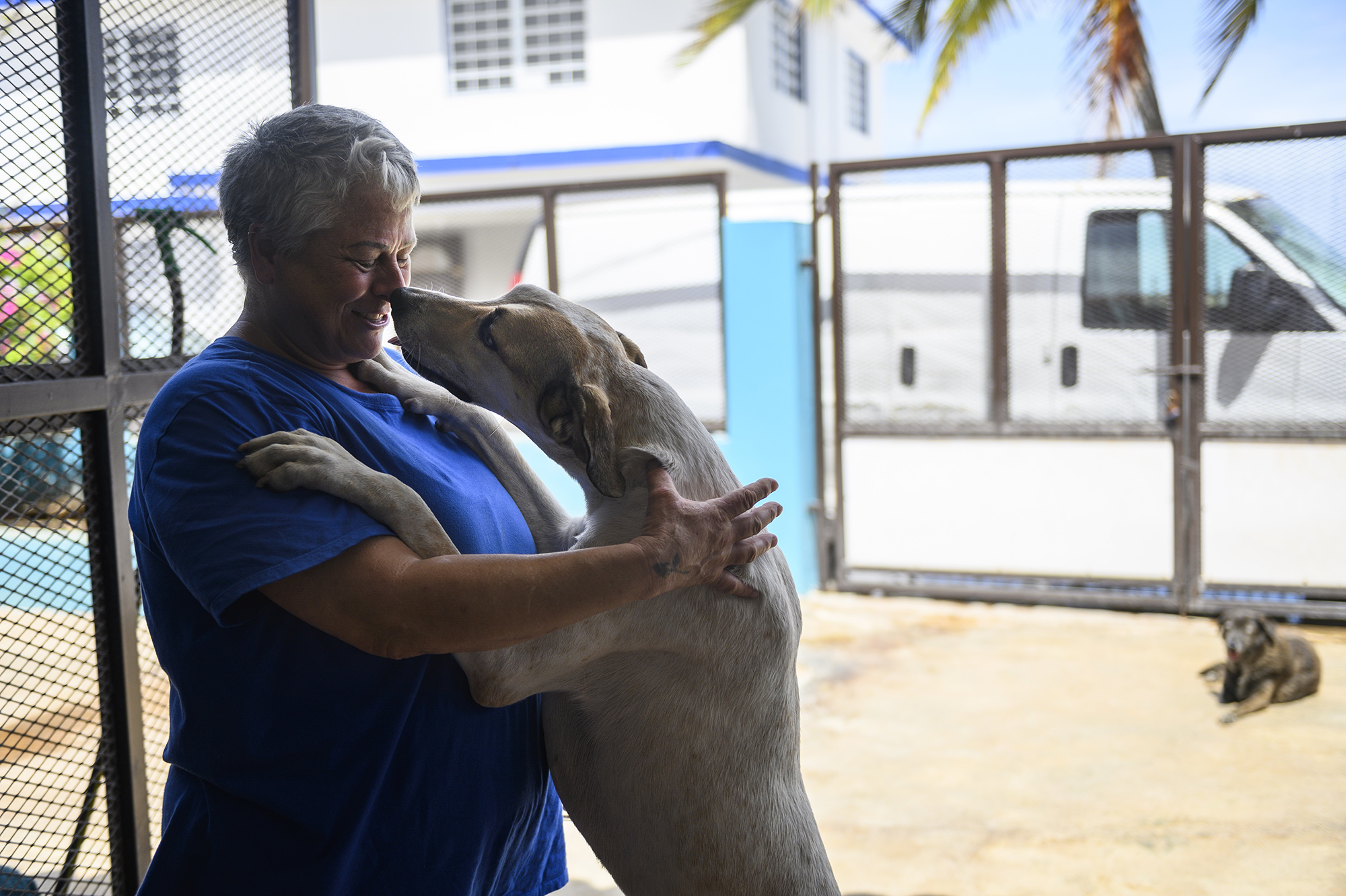 A dog stretches with its front paws on the shoulders of Amigos de los Animales shelter director Adrienne Galler Lastra